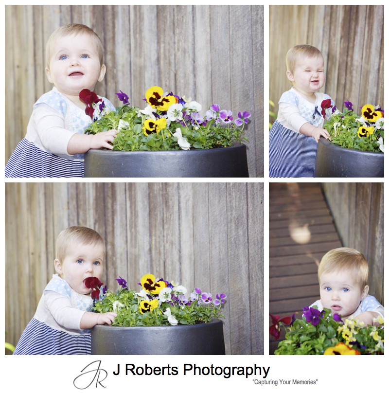 Little girl playing with potted pansies - family portrait photography sydney