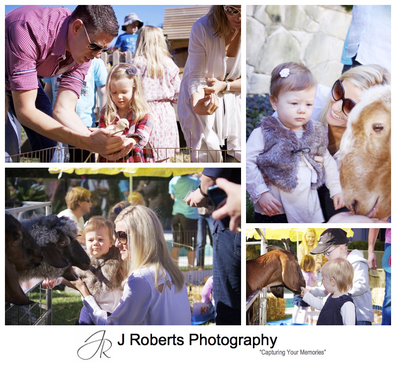 Children feeding farm animals at themed birthday party - party photography sydney
