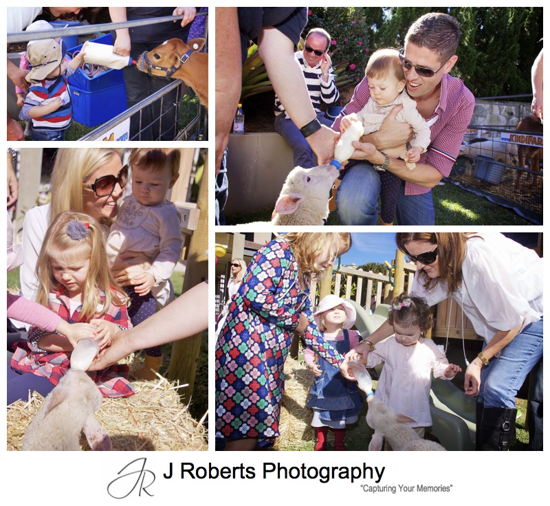 Kids giving animals milk bottles at children's birthday party - party photography sydney