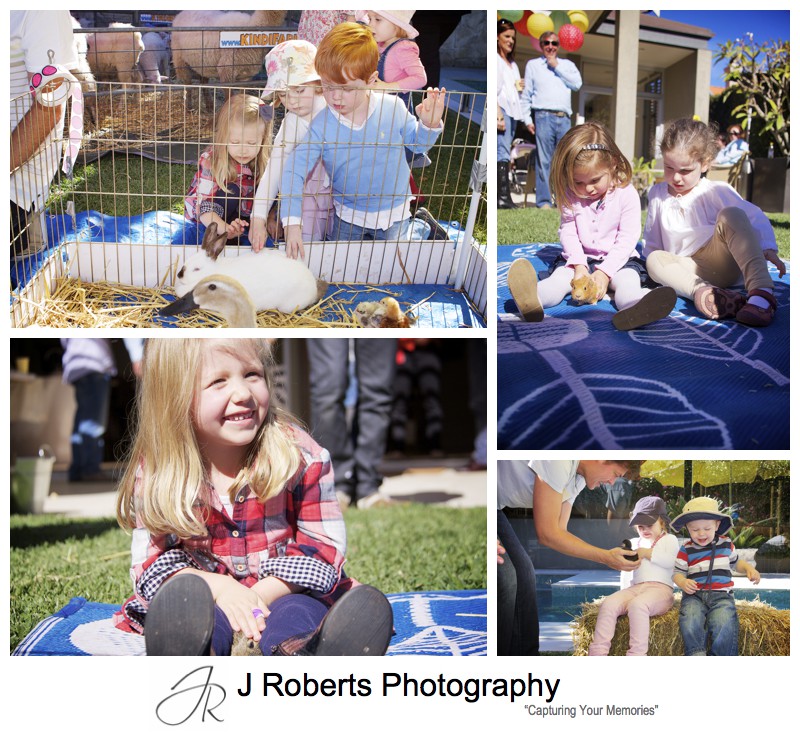 Toddlers petting animals at childs birthday party - party photography sydney