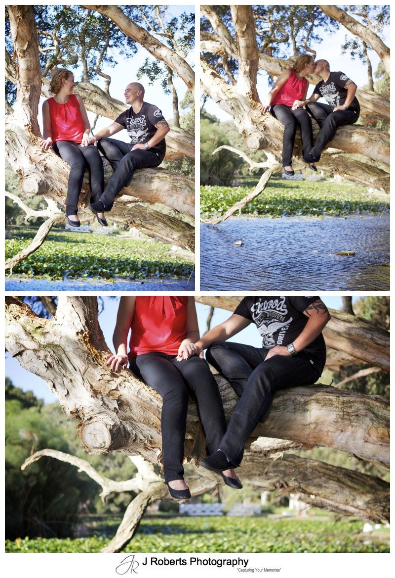 romantic couple up a tree in centennial park and kissing - couple portrait photography - sydney