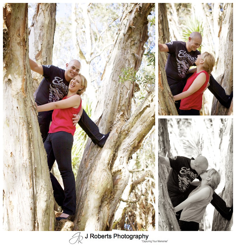 couple climbing a tree and kissing in centennial park - couple portrait photography - sydney