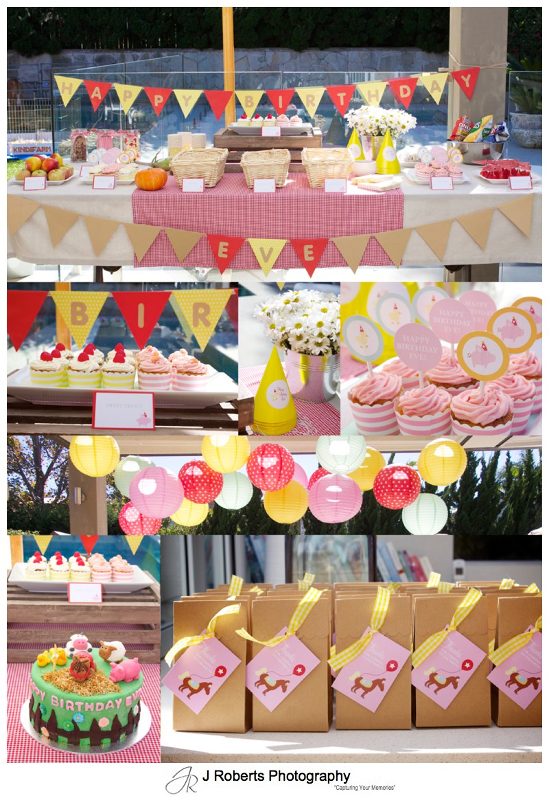 Theming layout of farm themed birthday party - party photography sydney
