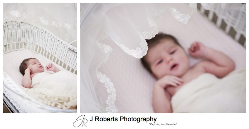 Newborn baby in wicker bassinet with mothers veil over it - newborn portrait photography sydney