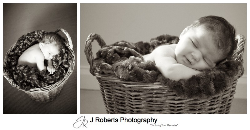 Sepia portraits of a newborn baby asleep in a basket - newborn portrait photography sydney