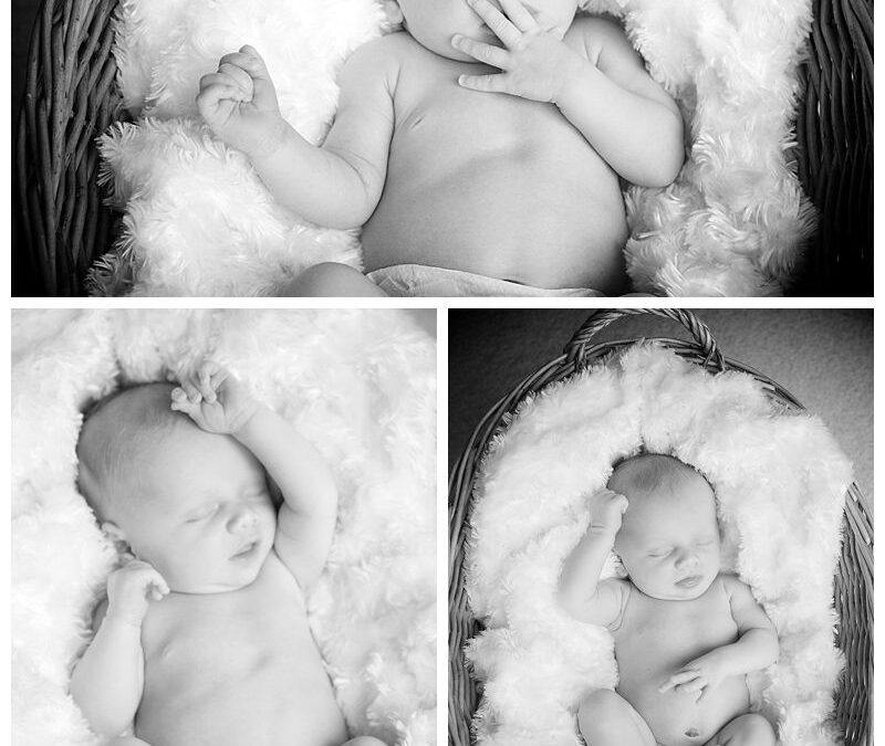 Newborn Baby Portraits of Little Bertram – Family Home North Shore Sydney – Sydney Newborn Baby Portrait Photographer